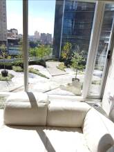 Cozy Apartment In Reforma Avenue