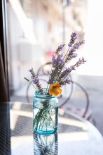 Cozy Mountain Motel, фото 5 Cozy Mountain Motel, фото 5