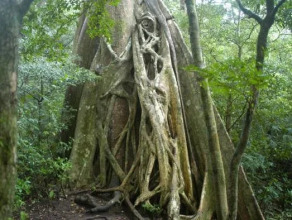 Jinete De Osa, фото 21 Jinete De Osa, фото 21