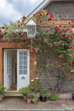 Primrose Hill Artist Studio, фото 12