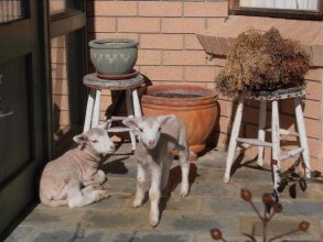 Springmead B&b, фото 14