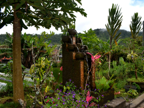 Dajan Buyan Homestay, фото 22