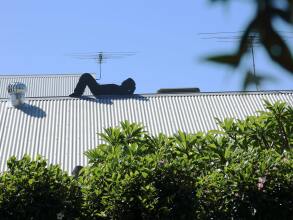 Haven On The Park, фото 10 Haven On The Park, фото 10