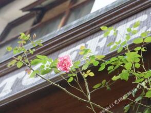 William Toffee Hotel (Hangzhou Qingzhiwu), фото 26 William Toffee Hotel (Hangzhou Qingzhiwu), фото 26