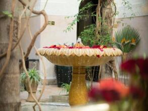 Dar Jaguar, фото 25 Dar Jaguar, фото 25