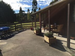 Height Of Dunedin, фото 19 Height Of Dunedin, фото 19