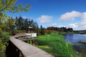 Fliport Garden, фото 22