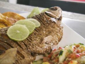 Hotel la Quinta, фото 15 Hotel la Quinta, фото 15