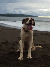 Cabañas Valeska, фото 16