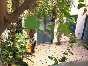 Les Jardins De Riad Laarouss, фото 20 Les Jardins De Riad Laarouss, фото 20