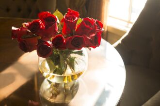 Ayres Lodge Alpine, фото 13 Ayres Lodge Alpine, фото 13
