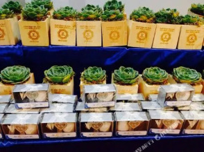 CARMELITA, фото 28