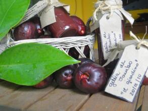 Pousada 100 Passos, фото 49