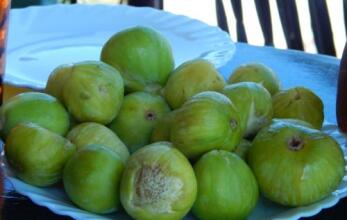 Violetta Rooms, фото 10 Violetta Rooms, фото 10