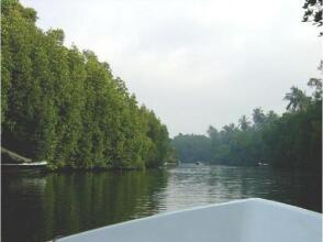 Grace Villa Bentota, фото 23