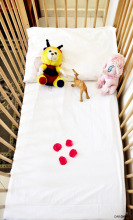 Dar Charaf, фото 8