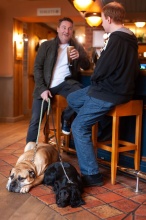 Kings Lodge Hotel, фото 35