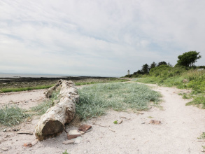 Drumbuie, фото 15