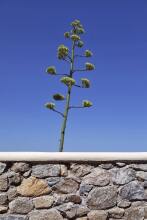 Casa Del Mar Mykonos Seaside Resort, фото 28