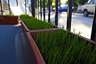 Day & Night, фото 15 Day & Night, фото 15