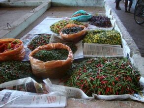 Girassol Praia Hotel, фото 40