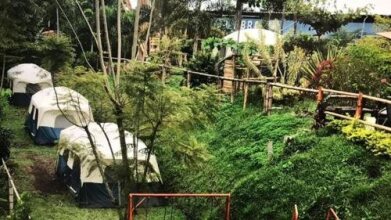 Hotel West California, фото 42 Hotel West California, фото 42