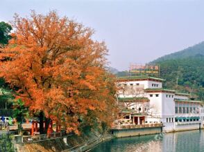 Guangdong Hot Spring Hotel, фото 13