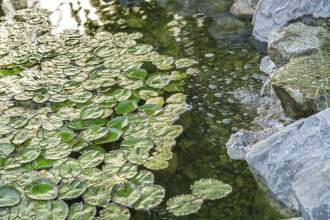 Ayres Lodge Alpine, фото 26 Ayres Lodge Alpine, фото 26
