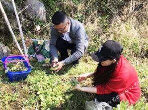 Gelinyue Aparthotel Yunxi Rose Garden, фото 34 Gelinyue Aparthotel Yunxi Rose Garden, фото 34
