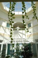 El Mouradi Palace, фото 11 El Mouradi Palace, фото 11