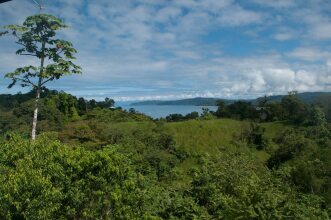 Drake Bay Greenleaf, фото 6