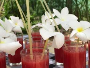 Sylvester Villa Hostel Negombo, фото 16 Sylvester Villa Hostel Negombo, фото 16