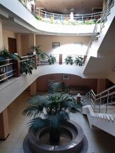 Черное Море Новый Привоз, фото 11 Черное Море Новый Привоз, фото 11