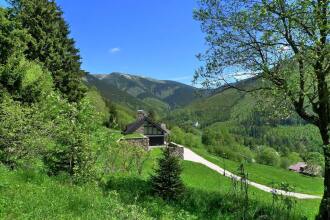 Pension Pohoda, фото 8 Pension Pohoda, фото 8