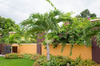 Centrally Located Guest Apartments Ii, фото 7 Centrally Located Guest Apartments Ii, фото 7