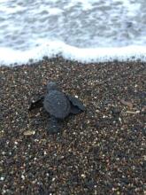 Cabañas Valeska, фото 48