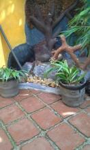 Grace Villa Bentota, фото 19