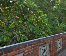 Ocean View, фото 12 Ocean View, фото 12