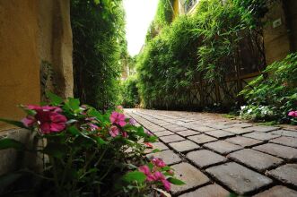 Les Patios Du Marais 1, фото 10