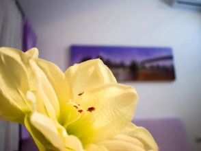 Downtown Apartments Pula, фото 29