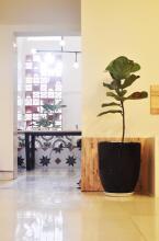 KAKA Homestay Hostel Quy Nhon, фото 29 KAKA Homestay Hostel Quy Nhon, фото 29