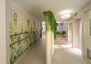 Director El Golf, фото 8 Director El Golf, фото 8