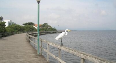 Albergue Floresta Acustica, фото 35