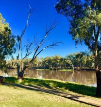 Pelican Rest Tourist Park, фото 20 Pelican Rest Tourist Park, фото 20