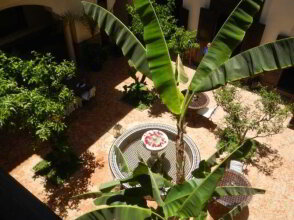 Riad Ilayka, фото 36 Riad Ilayka, фото 36