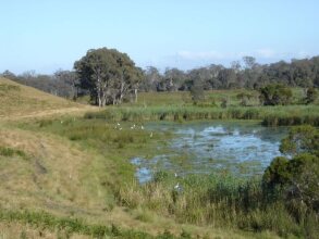 Frog Gully Cottages, фото 23