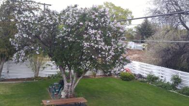 Ephrata Inn Motel, фото 9 Ephrata Inn Motel, фото 9