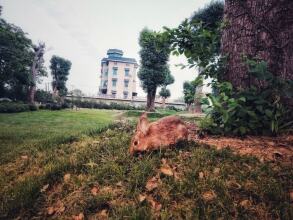 S·dor Hotel Hangzhou Xiaoshan Airport, фото 20 S·dor Hotel Hangzhou Xiaoshan Airport, фото 20