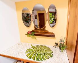 Bromélia Sabiá & Cia, фото 7 Bromélia Sabiá & Cia, фото 7