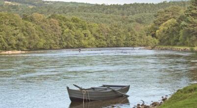 Macdonald Drumossie, фото 29 Macdonald Drumossie, фото 29